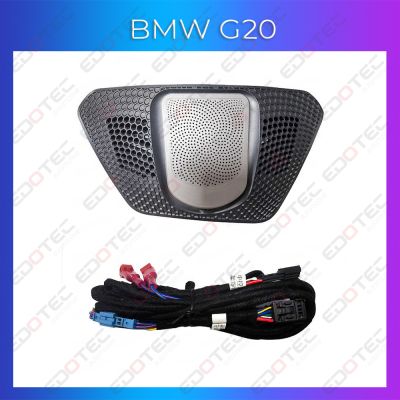 Lumini Ambientale BMW G20 capac iluminat plafon control telefon sau sistem original